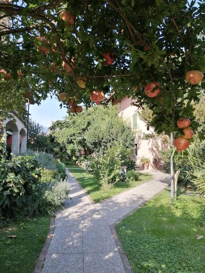 Al Rustico Ξενοδοχείο Torbole Sul Garda Εξωτερικό φωτογραφία